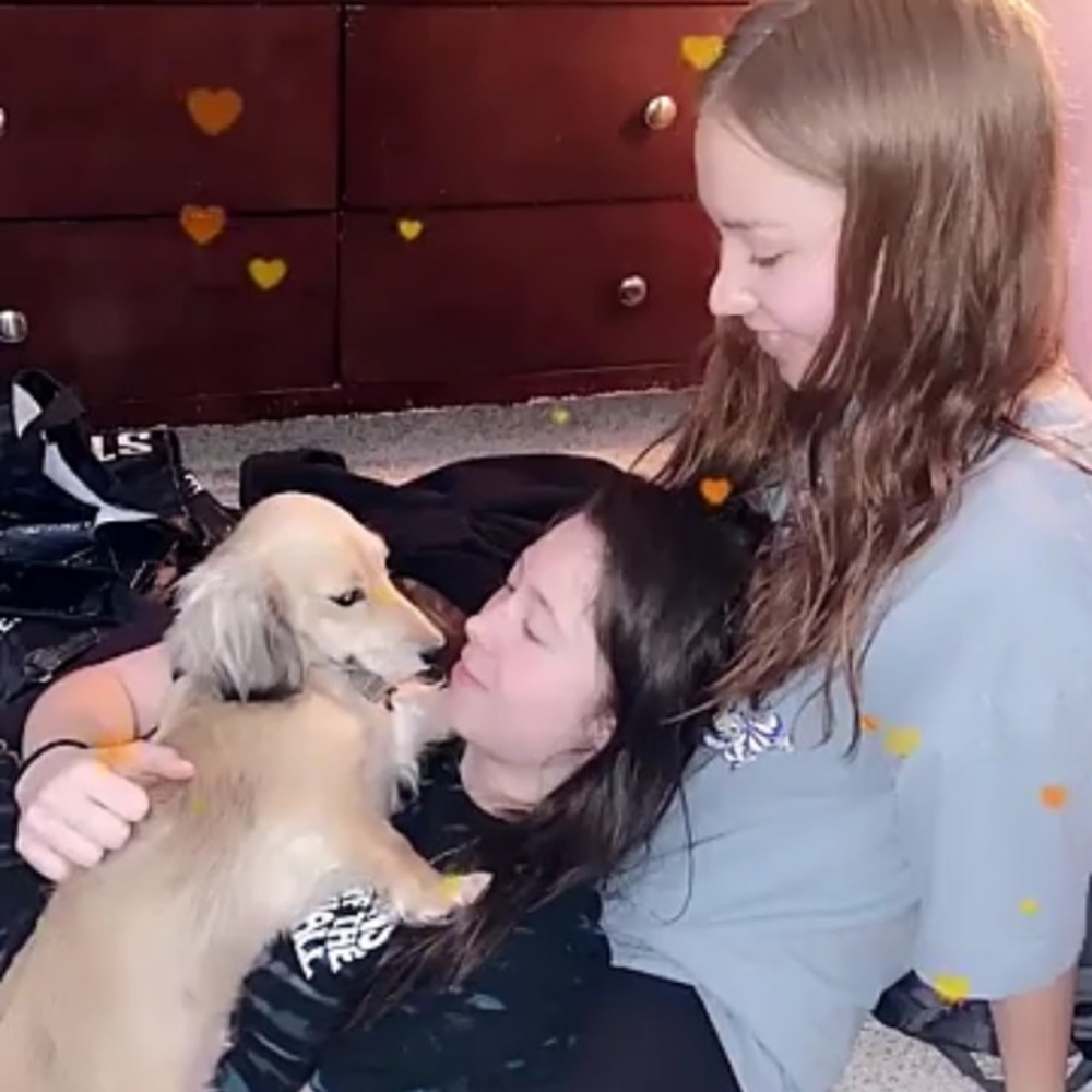 Meet your Posher, Raegan